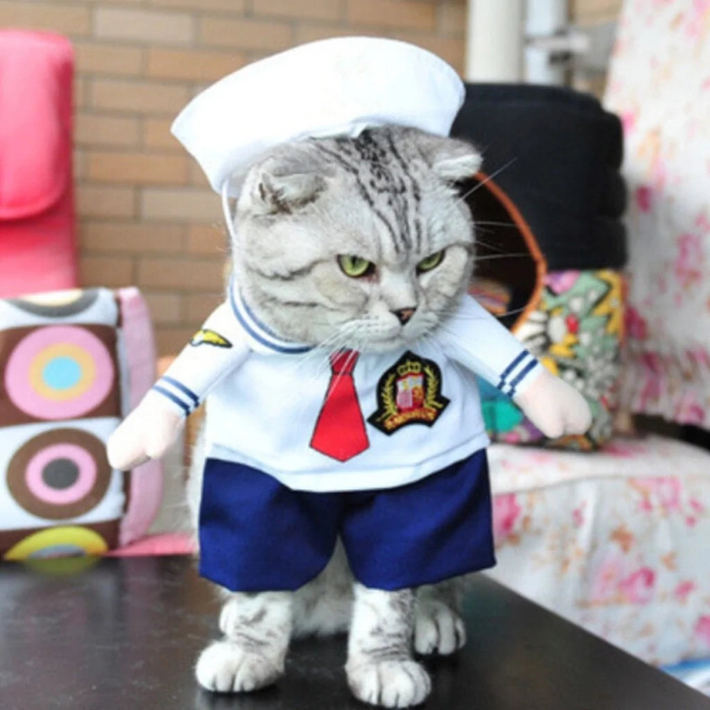 Cat and Dog Costumes for All Seasons