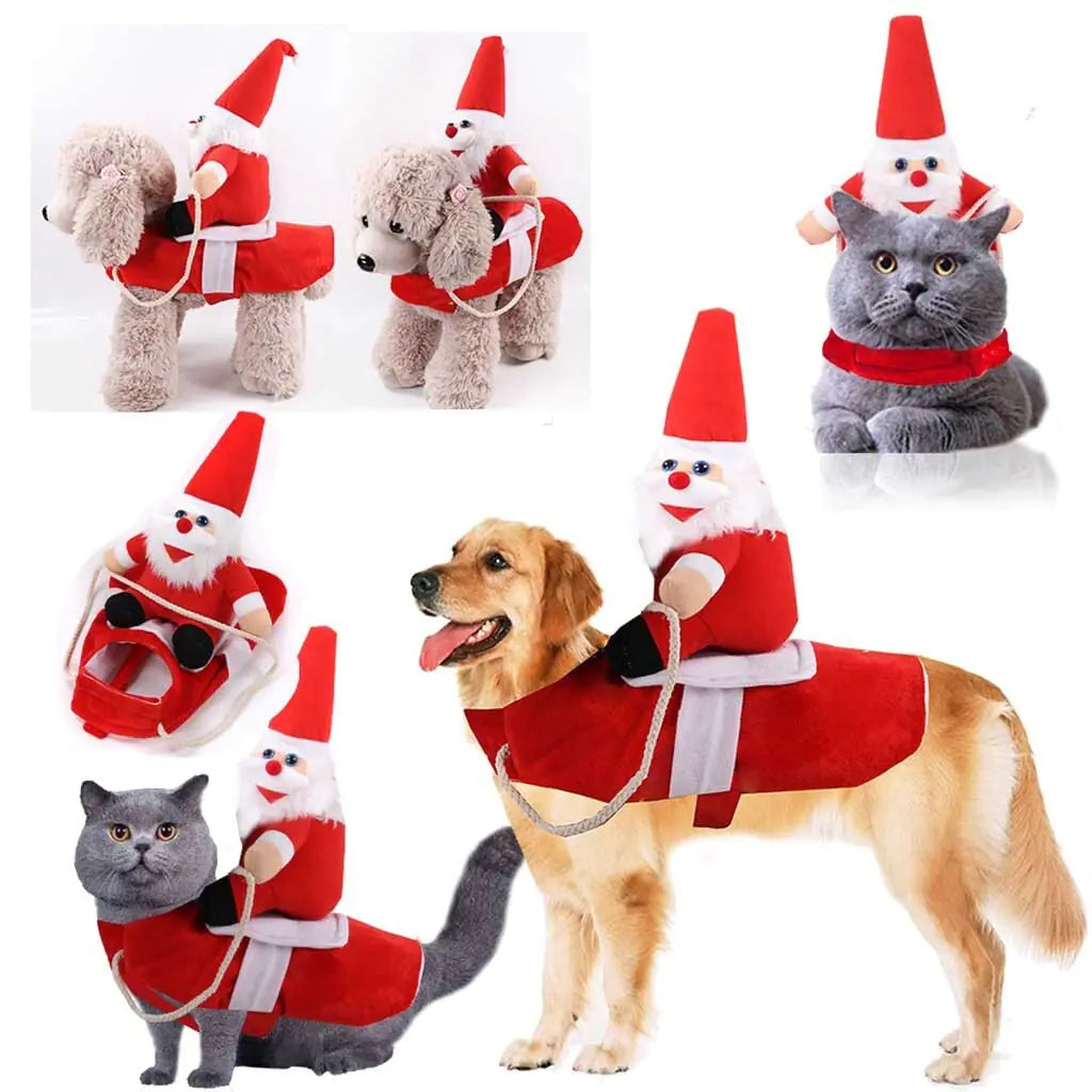 Cat and Dog Costumes for All Seasons