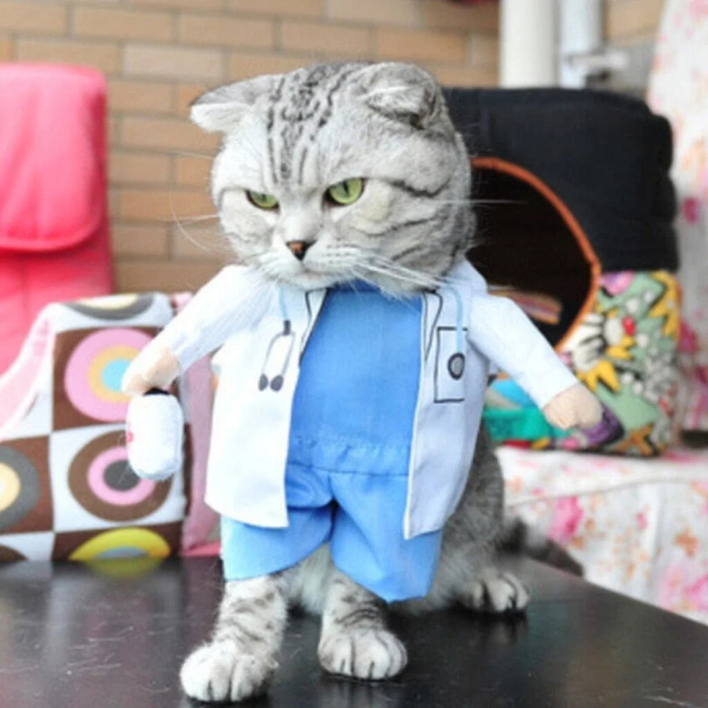 Cat and Dog Costumes for All Seasons