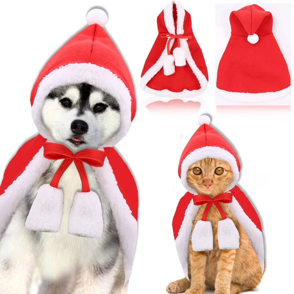 Cat and Dog Costumes for All Seasons