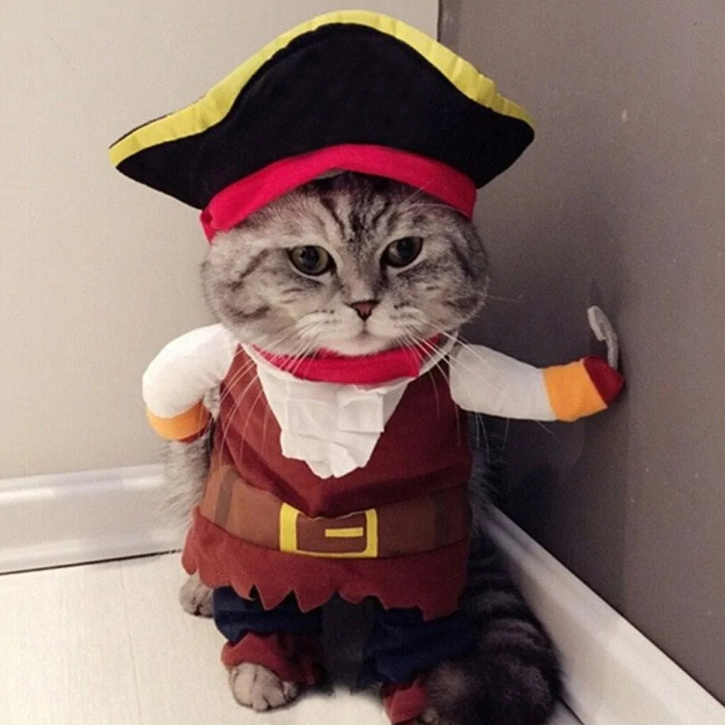 Cat and Dog Costumes for All Seasons