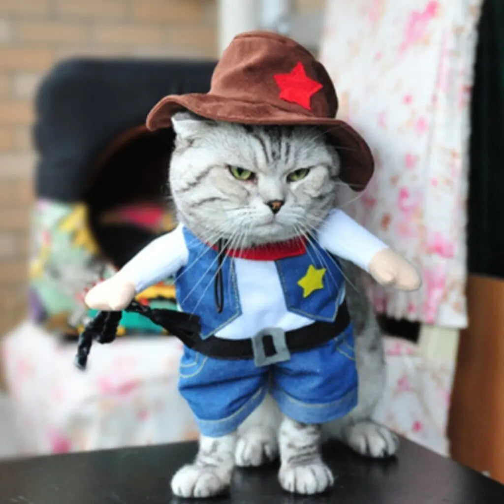 Cat and Dog Costumes for All Seasons
