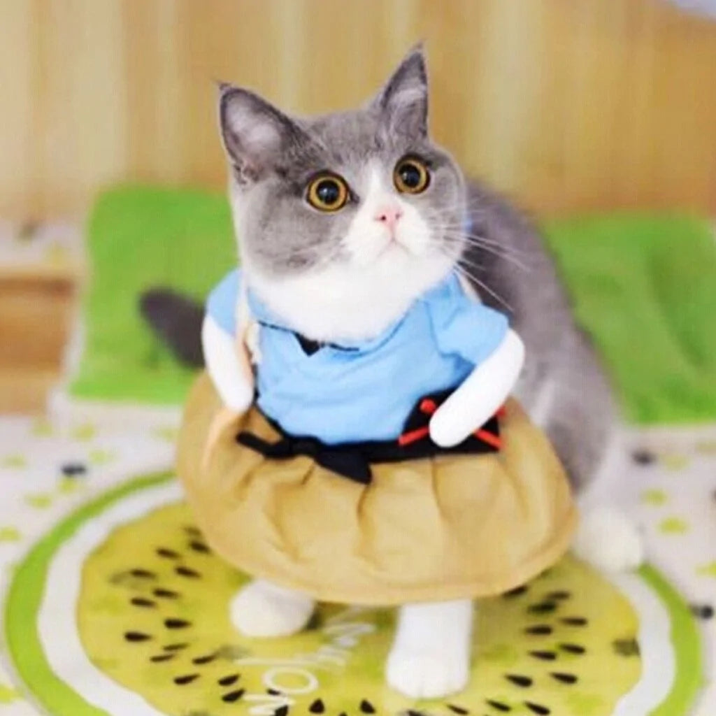 Cat and Dog Costumes for All Seasons