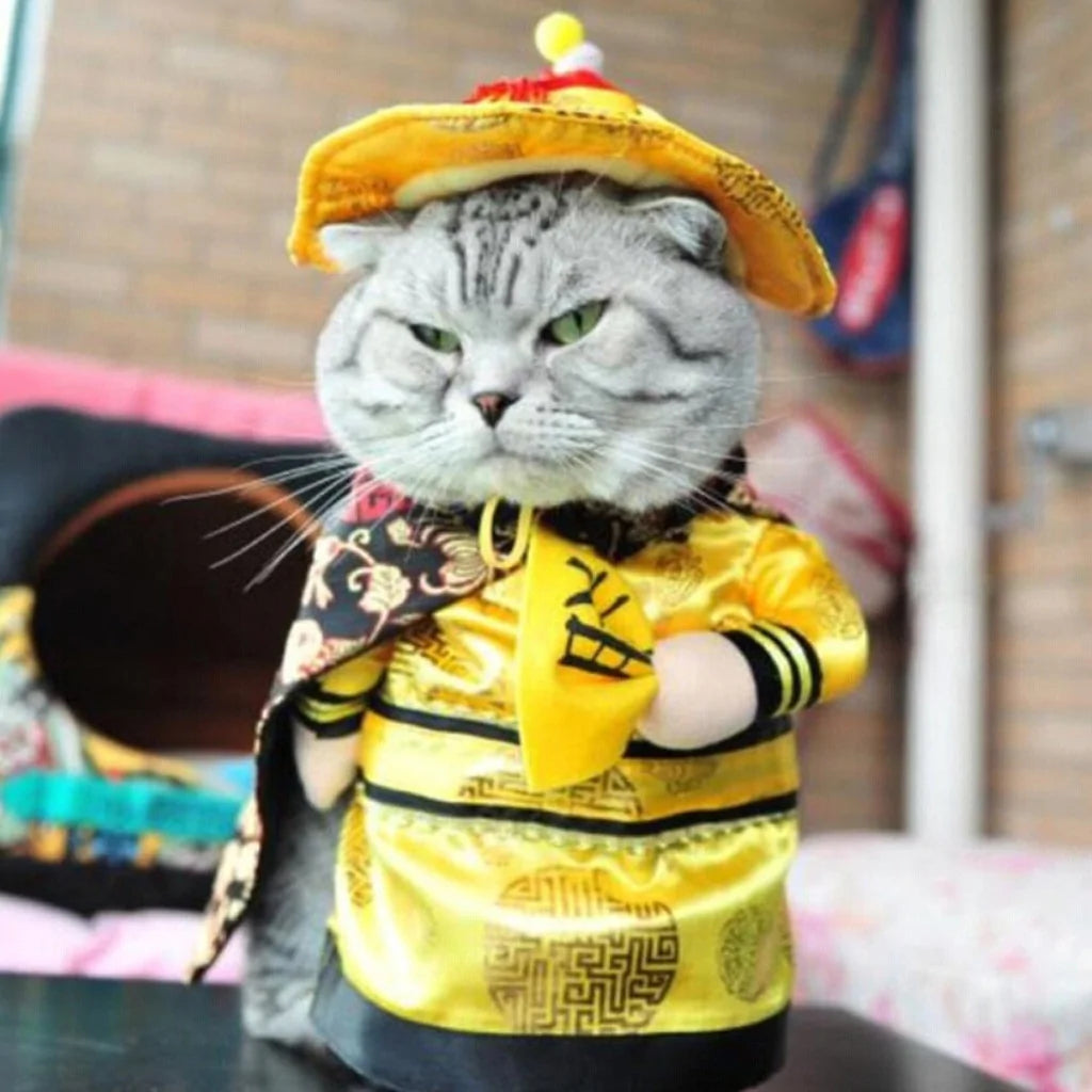 Cat and Dog Costumes for All Seasons