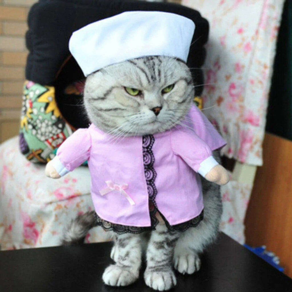 Cat and Dog Costumes for All Seasons
