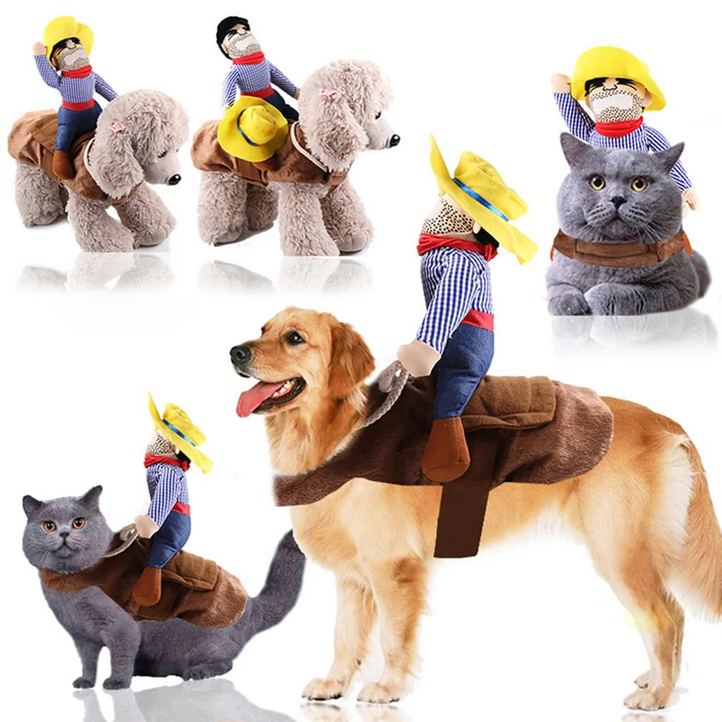 Cat and Dog Costumes for All Seasons