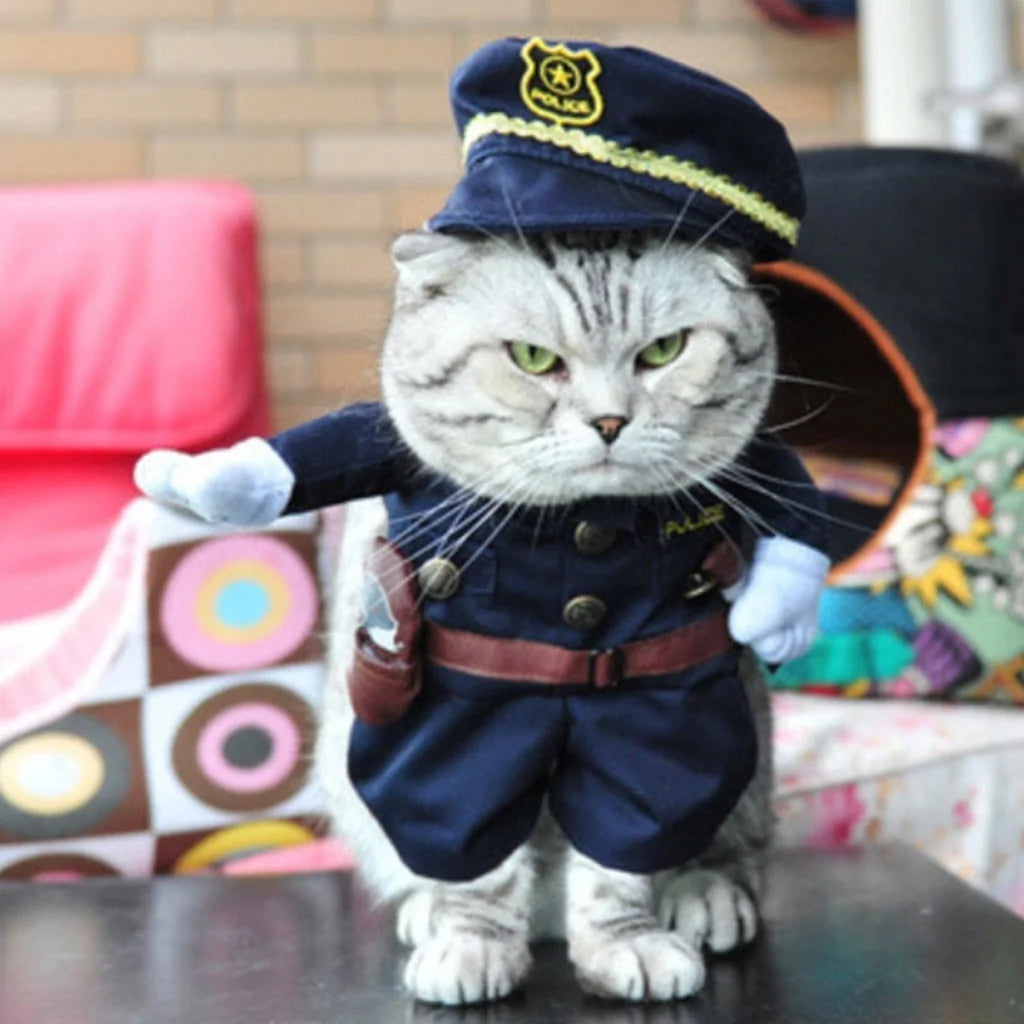 Cat and Dog Costumes for All Seasons