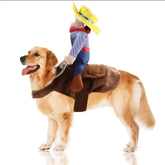 Cat and Dog Costumes for All Seasons