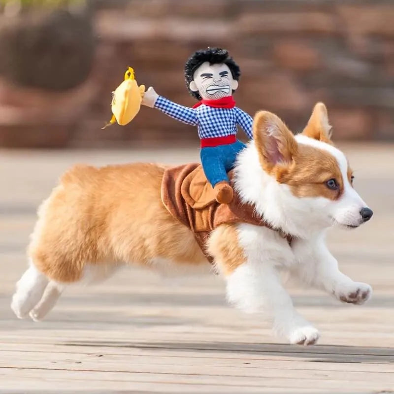 Cat and Dog Costumes for All Seasons
