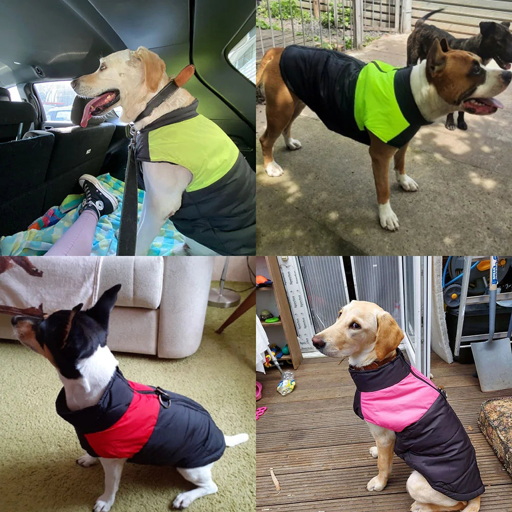 Winter Pets Vest