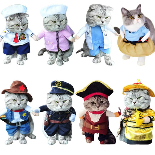 Cat and Dog Costumes for All Seasons